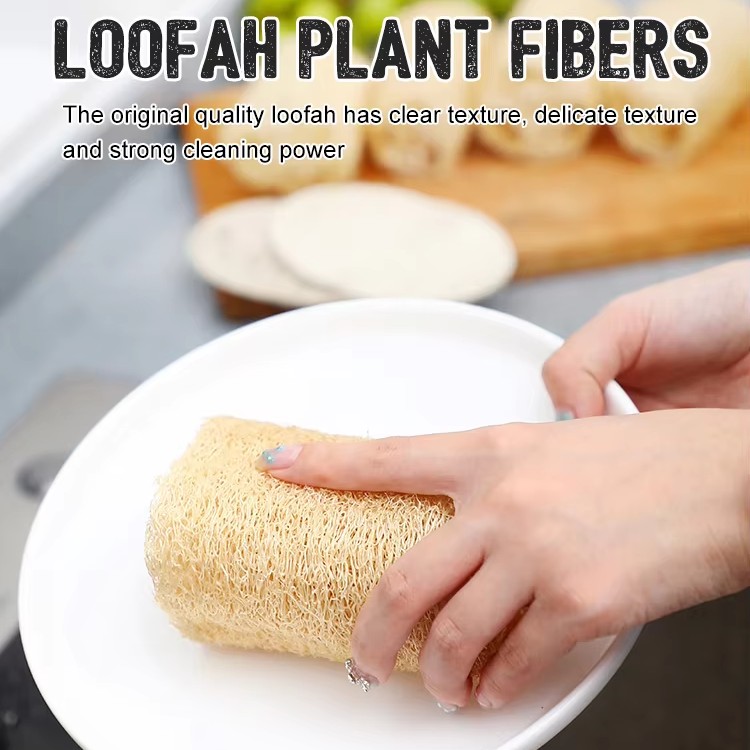 Rengöring Kök Luffa Badborste